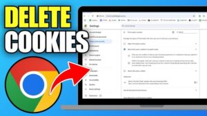 How to Delete Cookies to Fix Browser Issues 2 How to Delete Cookies to Fix Browser Issues